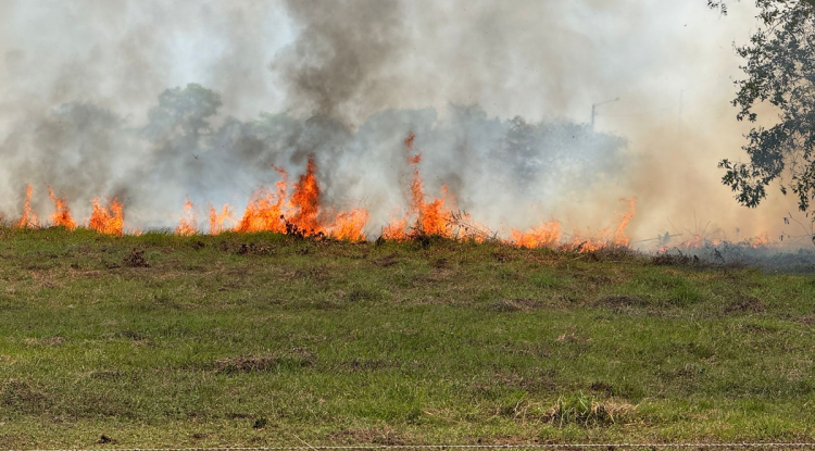 INCENDIOS FORESTALES