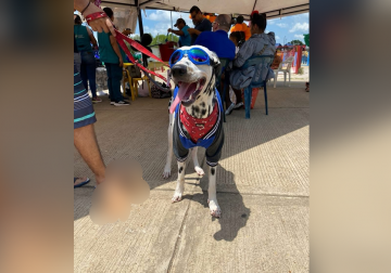 JORNADA DE MASCOTAS