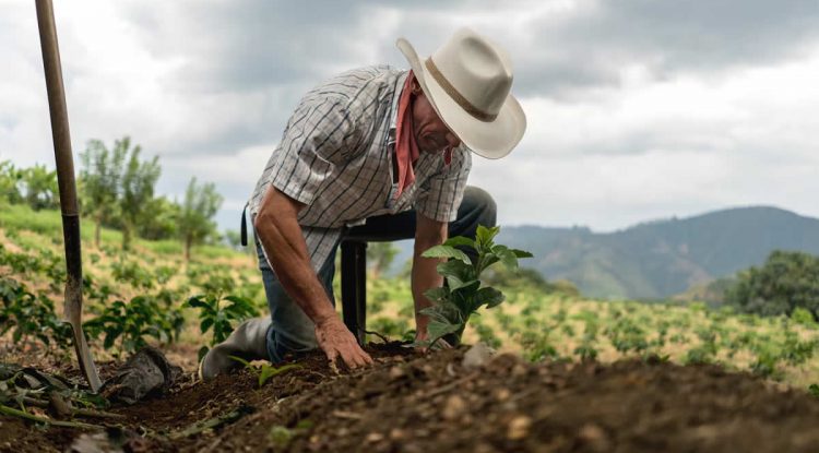 Agencia Nacional de Tierras abre oficina en Calamar