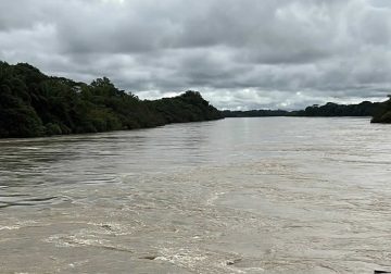 Guaviare: Campesinos proponen banco de semillas en La Carpa
