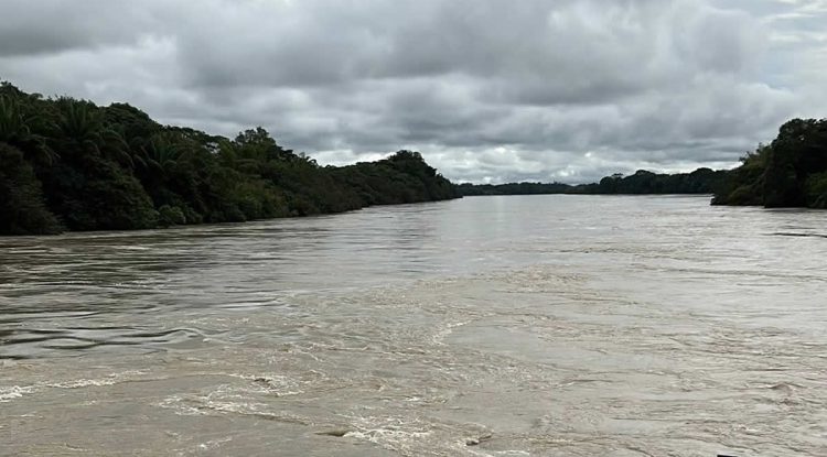 Guaviare: Campesinos proponen banco de semillas en La Carpa