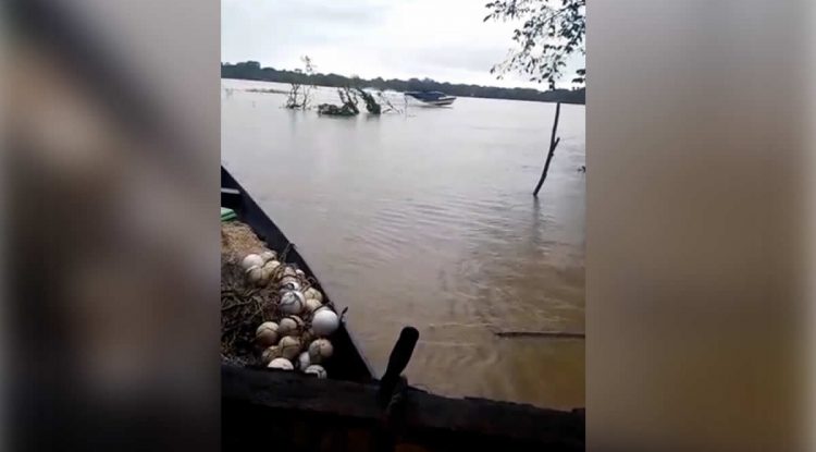 Guaviare: Solicitan controlar olas de embarcaciones en zona inundada de Casa Roja
