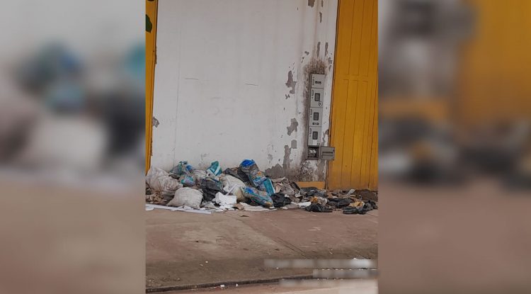 Denuncian acumulación de basuras en la calle séptima de San José