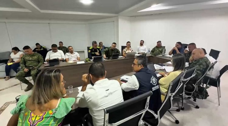 Consejo de seguridad por situación de orden público en Guaviare