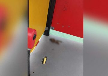 Ciudadanos denuncian deterioro en parques de San José del Guaviare