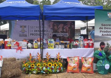 Buen balance en el 6º Mercado Campesino 2025 en San José del Guaviare