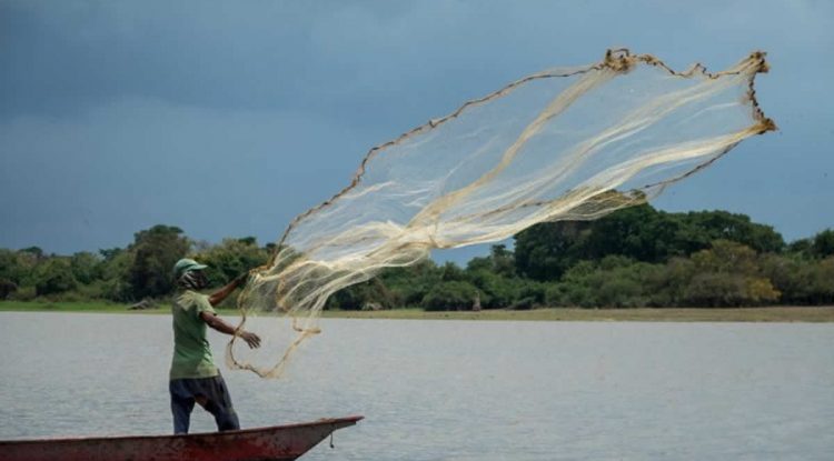 Pescadores piden no ser vinculados al conflicto armado en Guaviare