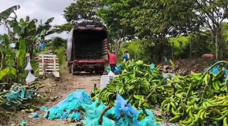 Piden reubicación urgente en la vereda El Charcón por inundaciones