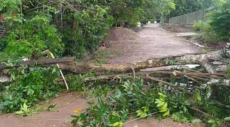 Inundaciones por colapso de cunetas en barrio El Modelo en San José